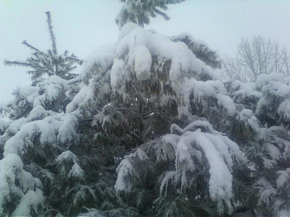 Upshot evergreen 3.2014