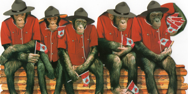 RCMP monkeys