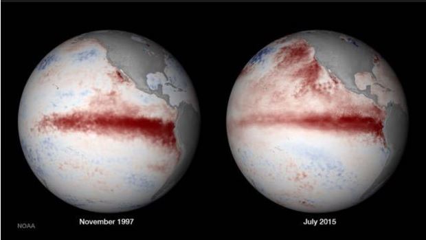 This image shows the July 13-19, 2015 sea surface temperature departure from the 1981-2010 average. In addition to the warmer than normal waters generated by the El Nino conditions, the Pacific Decadal Oscillation is also creating persistently higher than normal sea surface temperatures in the northeastern Pacific. (National Oceanic and Atmospheric Administration)