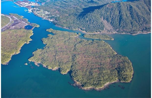 The site of the proposed Pacific Northwest LNG plant, Lelu Island, near Port Edward, Photograph by: www.lonniewishart.com , Vancouver Sun