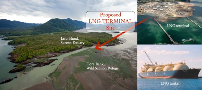 Lelu Island proposal graphic